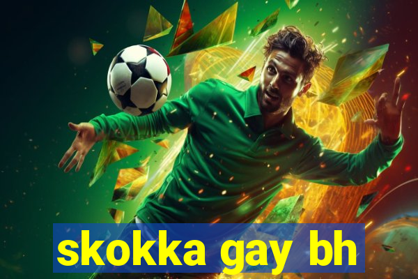 skokka gay bh